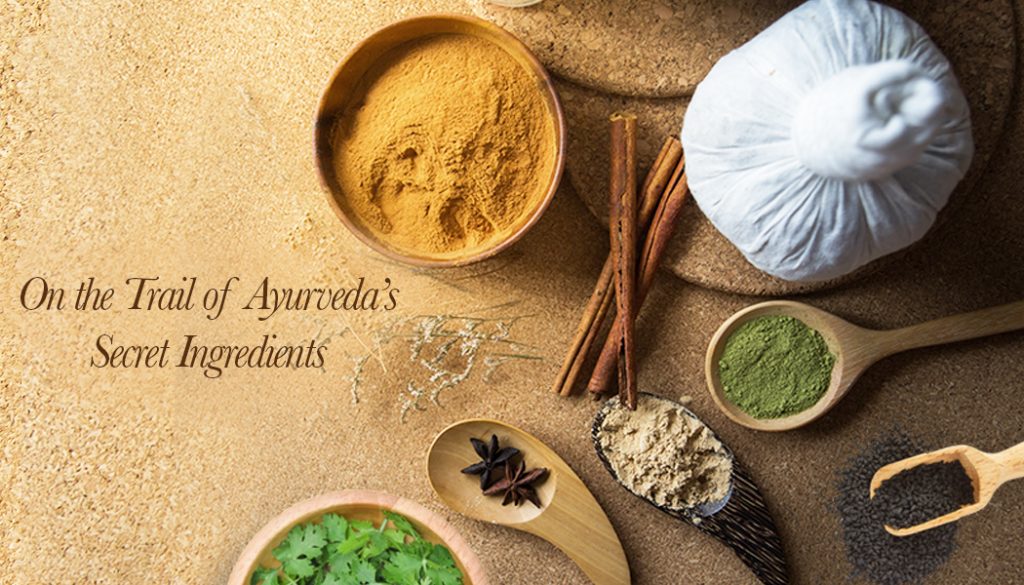 On The Trail Of Ayurvedic Secrets: Lesser Known Ingredients For Health And Wholesome Beauty