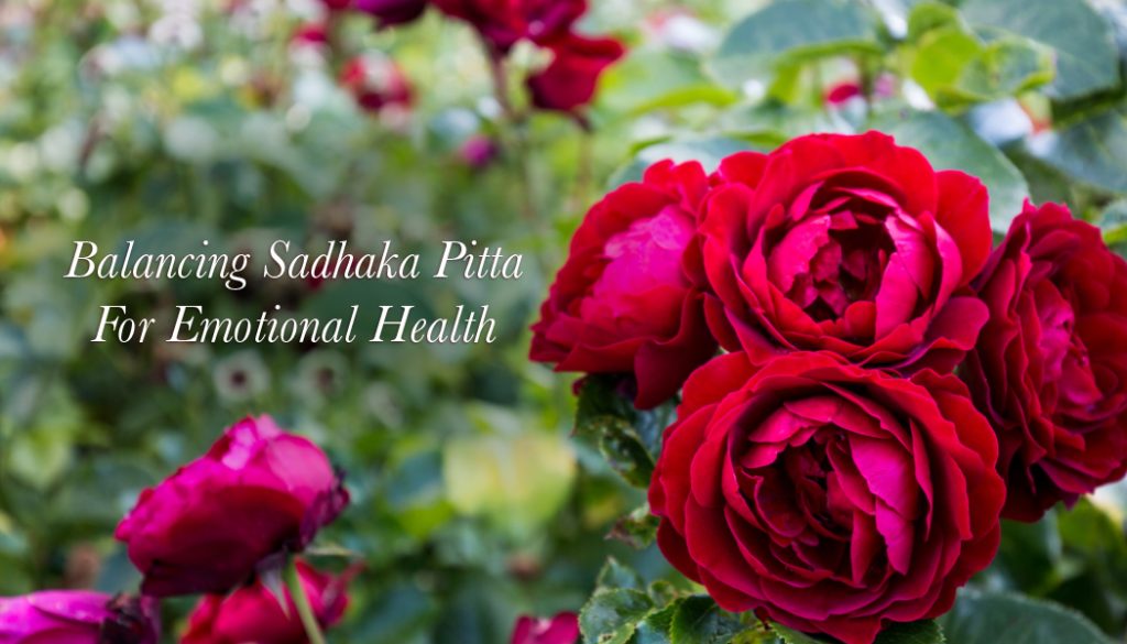 Balancing Sadhaka Pitta For Emotional Health