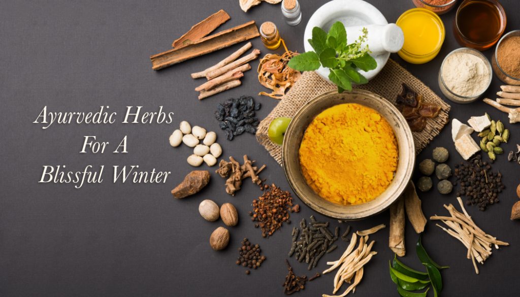 Ayurvedic Herbs For A Blissful Winter