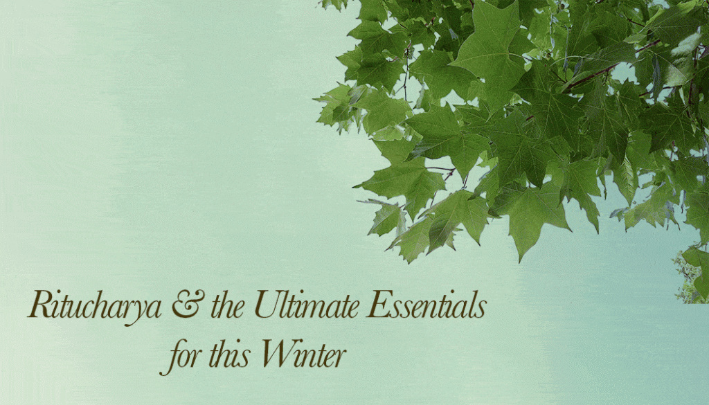 Ritucharya And The Ultimate Winter Essentials