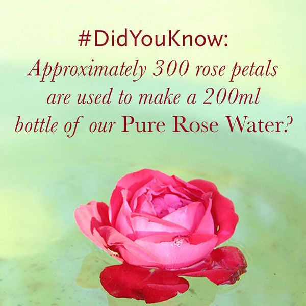 Pure Rose Water Facts