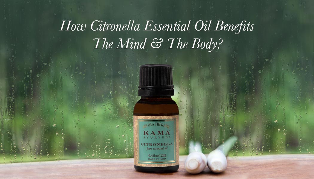 How Citronella Essential Oil Benefits The Mind & The Body?