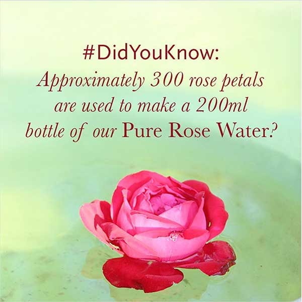 best rose water for face