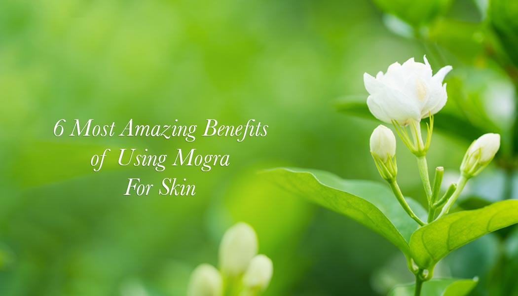 6 Most Amazing Benefits of Using Mogra For Skin