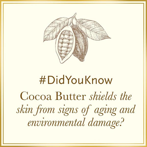 cocoa butter dry skin moisturiser