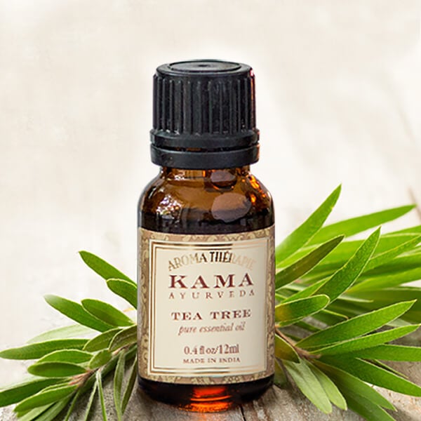 tea tree oil for acne