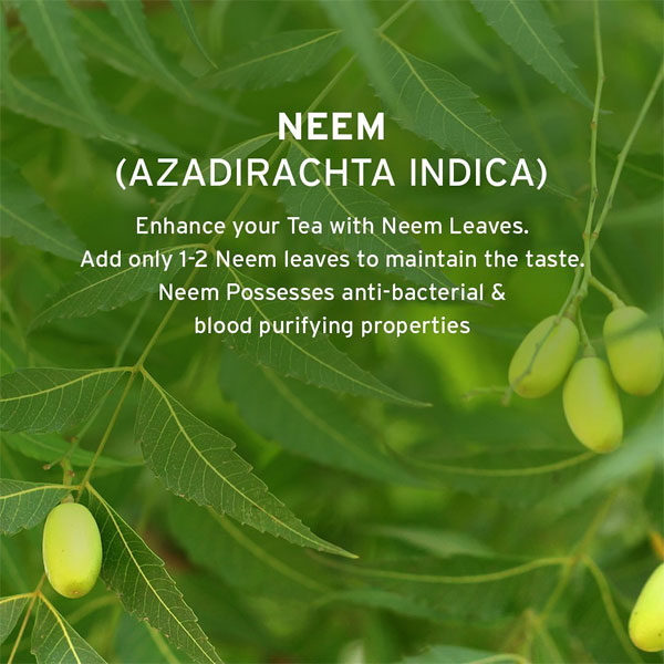 neem for glowing skin