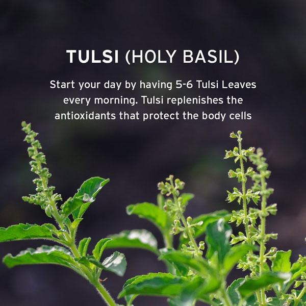 tulsi for healthy skin