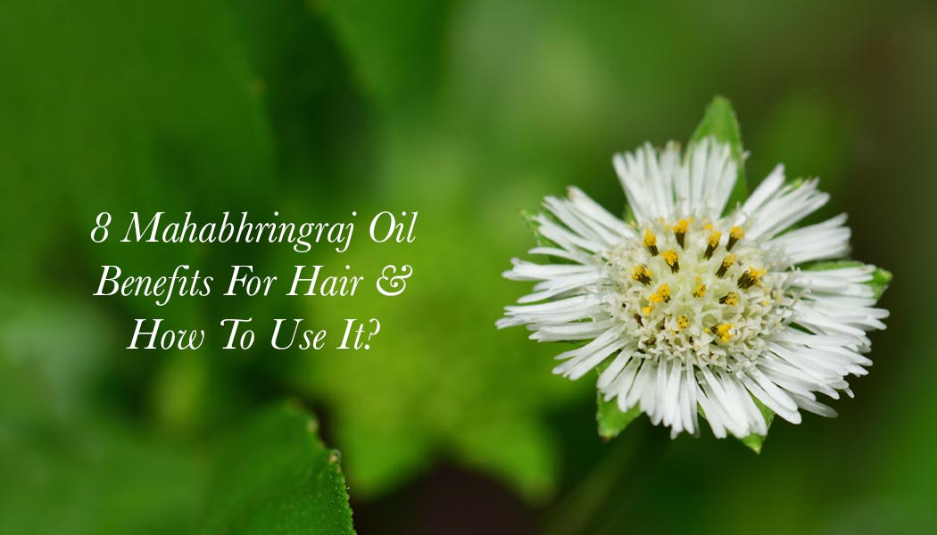8 Mahabhringraj Oil Benefits For Hair & How To Use It?
